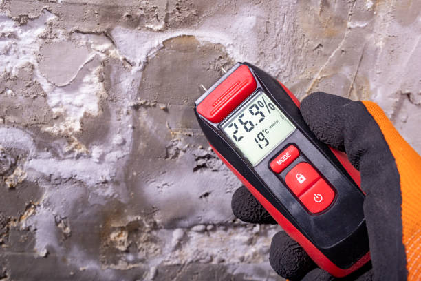 Best Water Damage Restoration  in Ligonier, IN