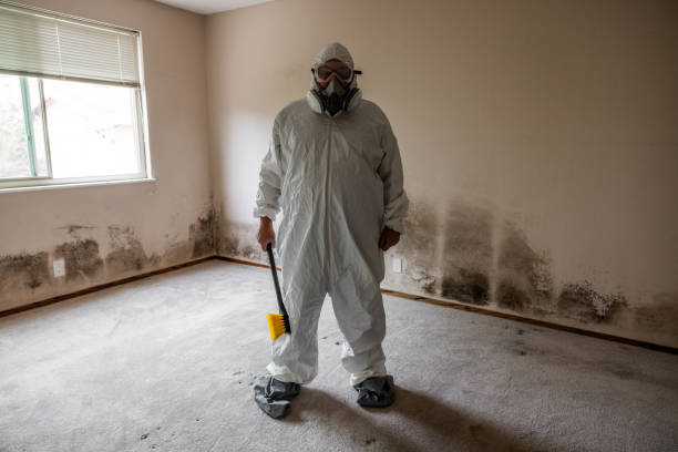 Best Crawl Space Mold Removal  in Ligonier, IN